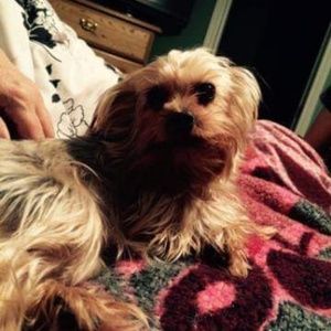 Meet your Posher, Marie